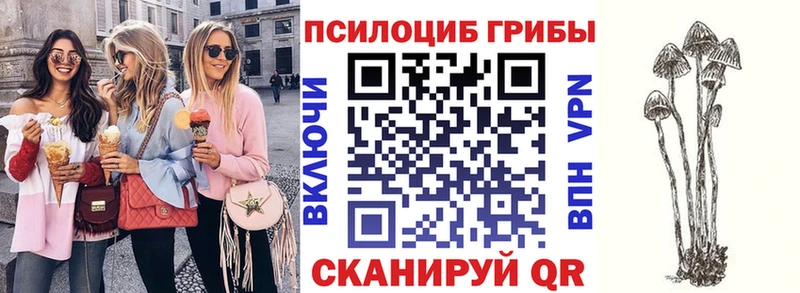 сайты даркнета формула  Славянск-на-Кубани  Псилоцибиновые грибы ЛСД  продажа наркотиков 