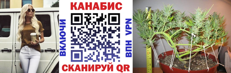 закладка  Славянск-на-Кубани  Бошки марихуана OG Kush 